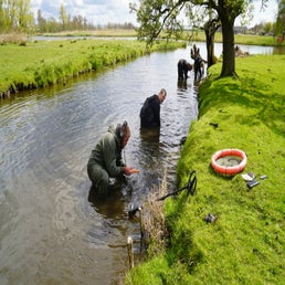 limes md en watchdutchmd onderwater zoeken.jpeg