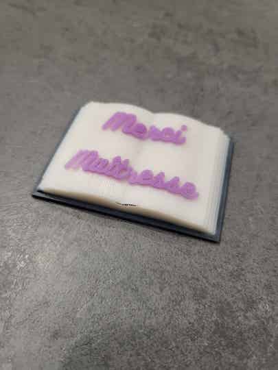 Moule livre maitresse