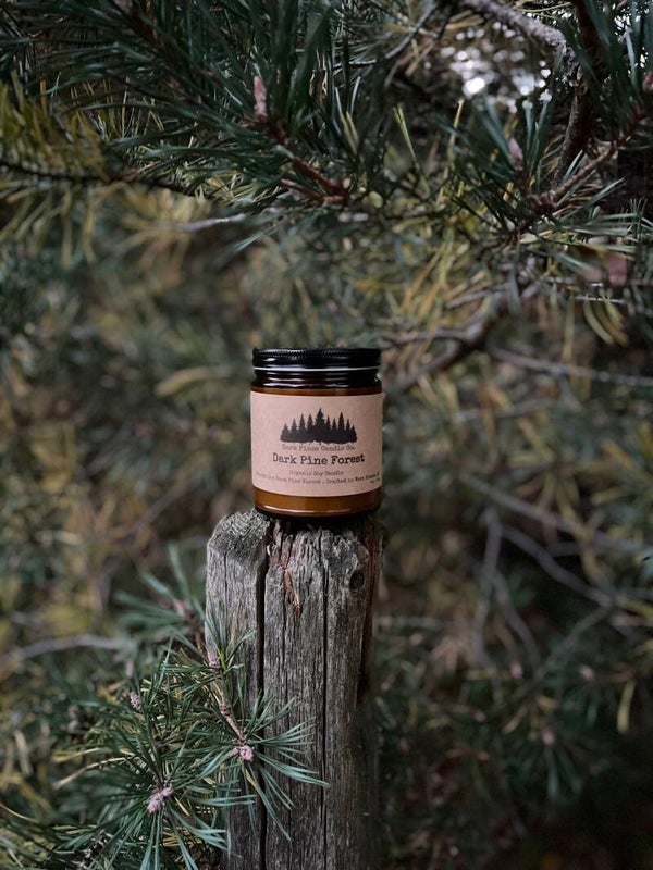 Dark Pine Forest