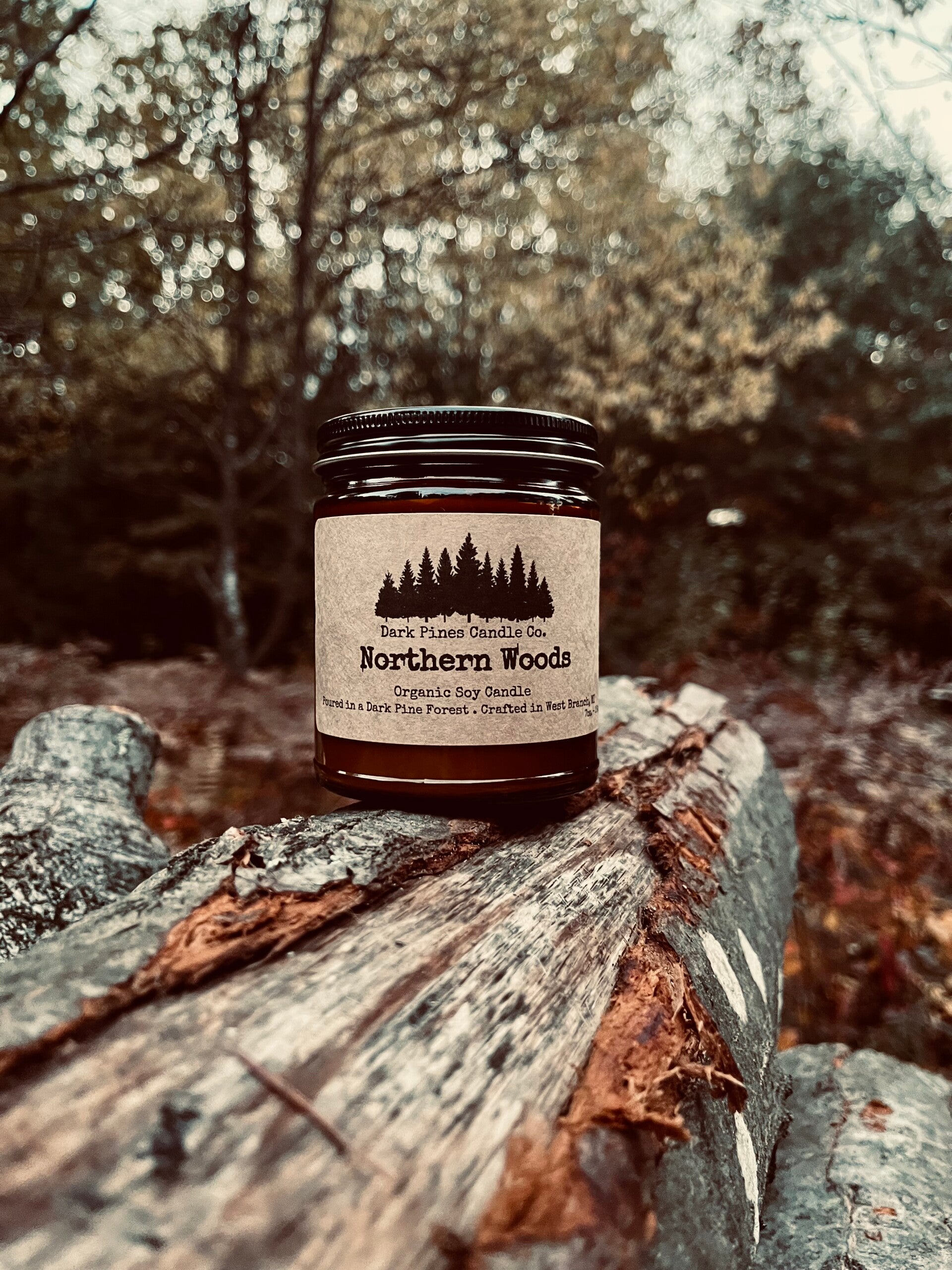 Northern Woods