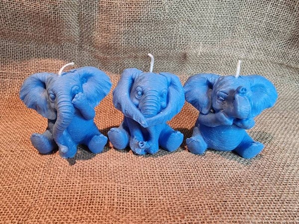 See, Hear & Speak Set