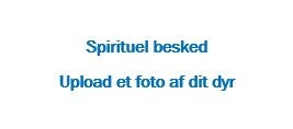 Spirituel besked fra dit dyr til dig