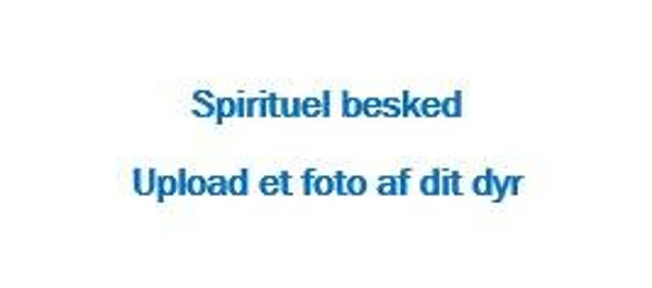 Spirituel besked fra dit dyr til dig