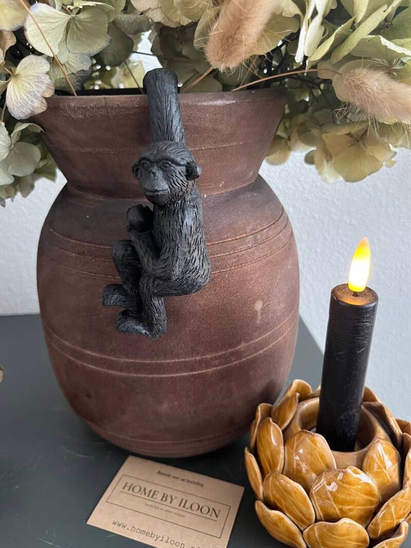 Bloempothanger aap 1 arm