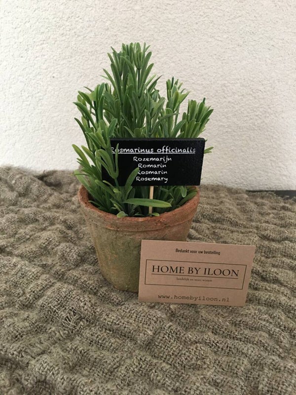 Kunst kruidenpotje rozemarijn