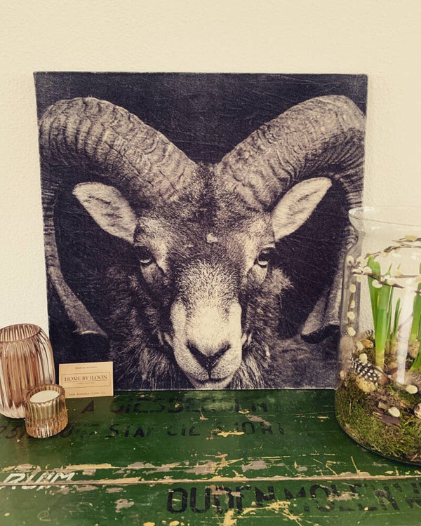 Wanddecoratie Ram