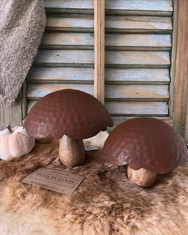 Set stoere paddenstoelen