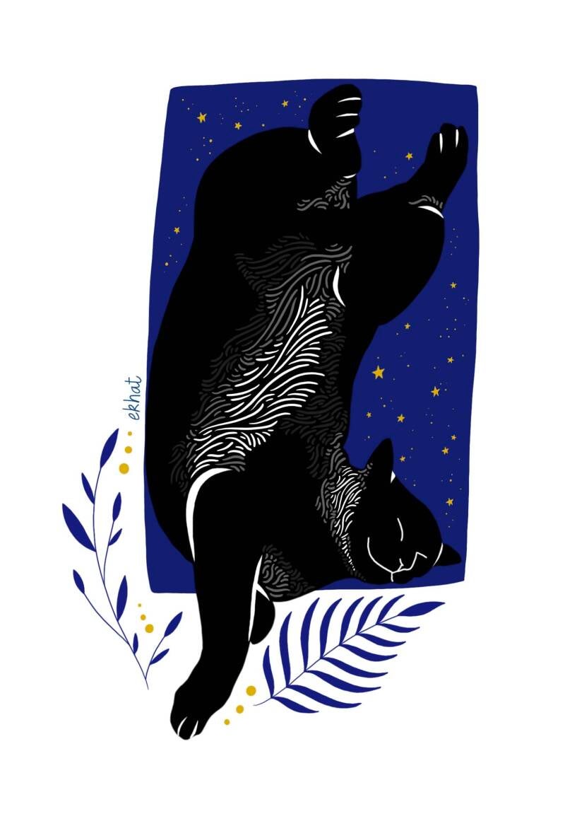 Illustration personnalisée d'un chat noir qui dort allongé dans les étoiles