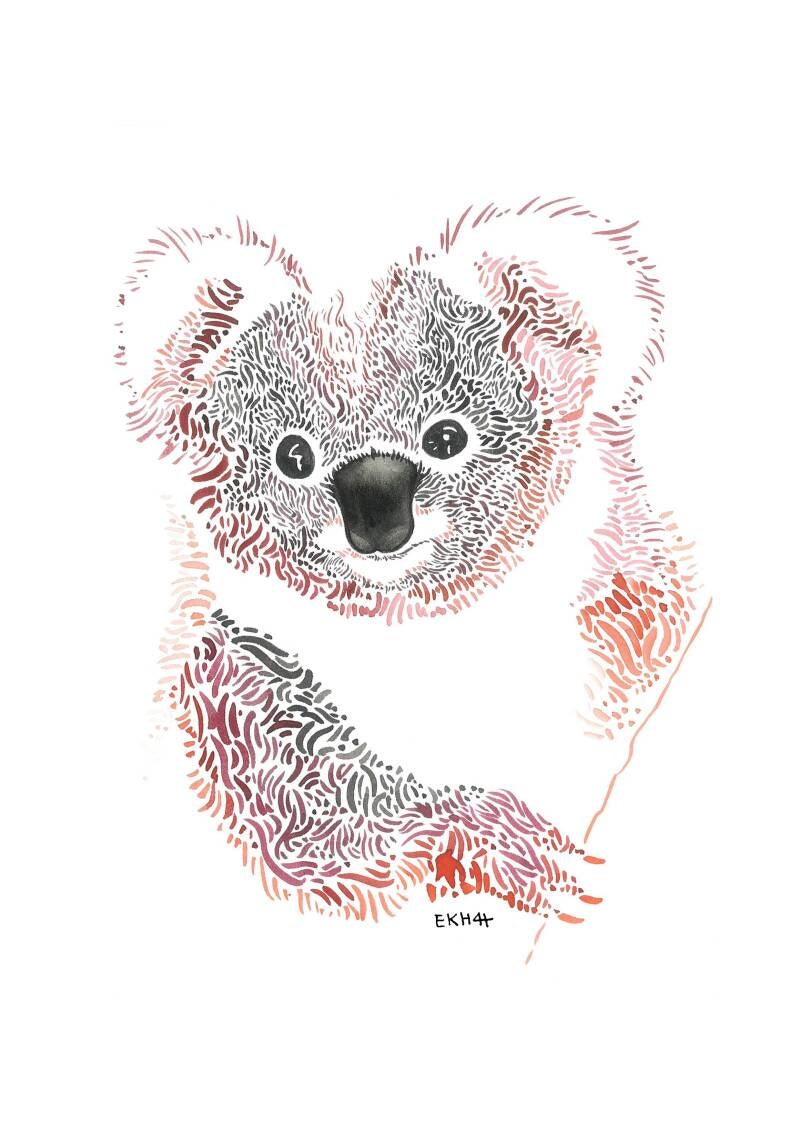 Illustration d'un koala d'australie