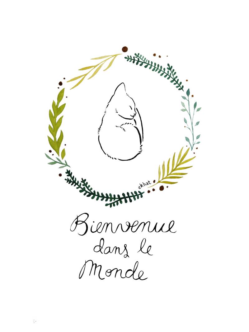 Illlustration d'un chaton qui dort pour la création d'un faire part de naissance ou d'une carte postale pour lui souhaiter la bienvenue dans le monde