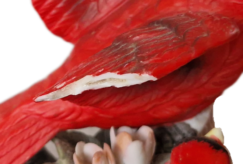 20251123_132240-1-copy-standard.png