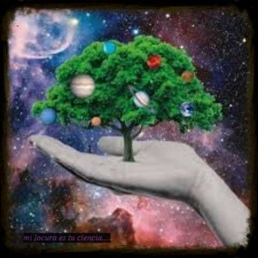 Mi locura es tu ciencia...