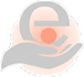 e-portfolio