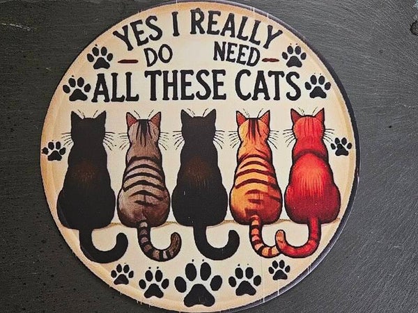 Yes I really do need all these cats