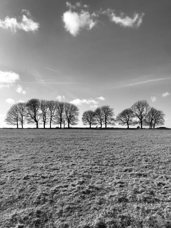 Trees - Derbyshire Landscape Greeting Card