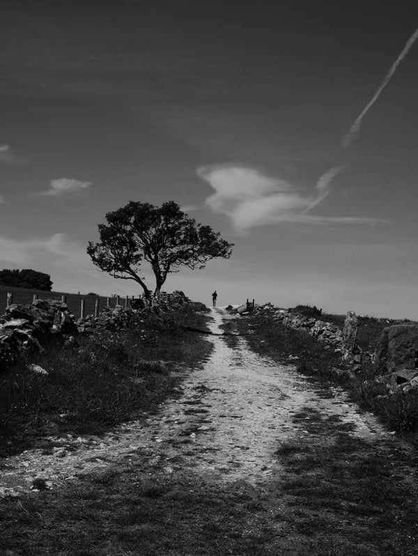 Middleton Moor