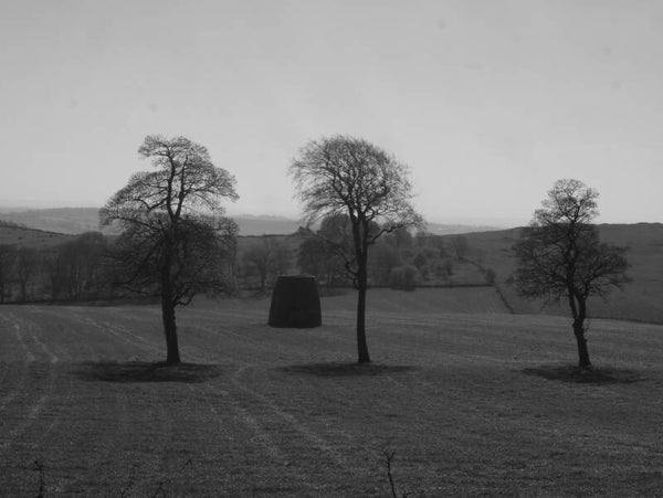Windmill between trees