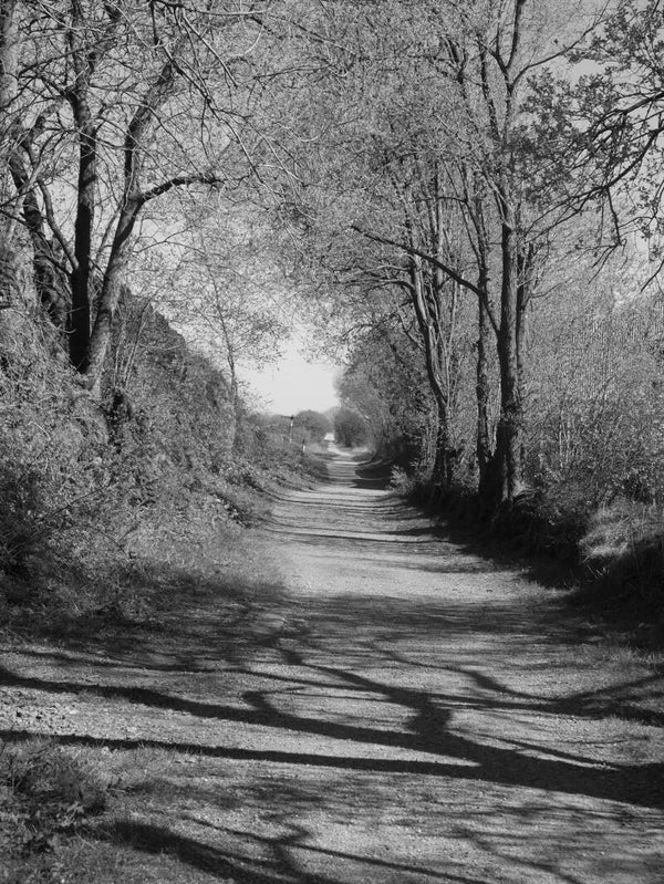 High Peak Trail - Derbyshire Art Print
