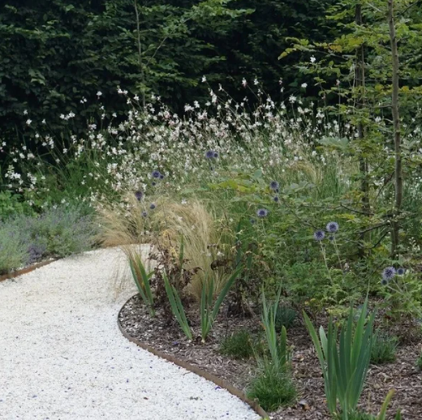 Grote plant voor tuin