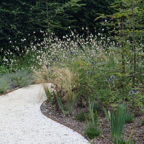 Klein plantje voor tuin