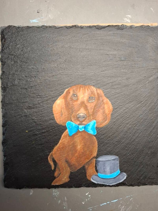 Dapper de Teckel