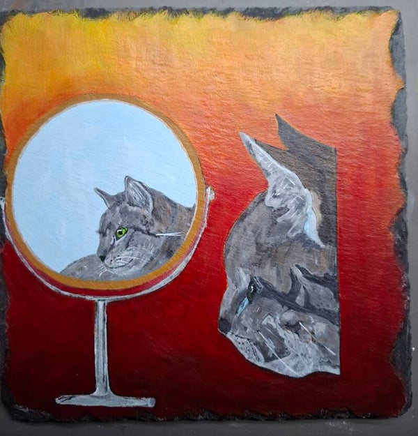 Adele kijkt in de spiegel