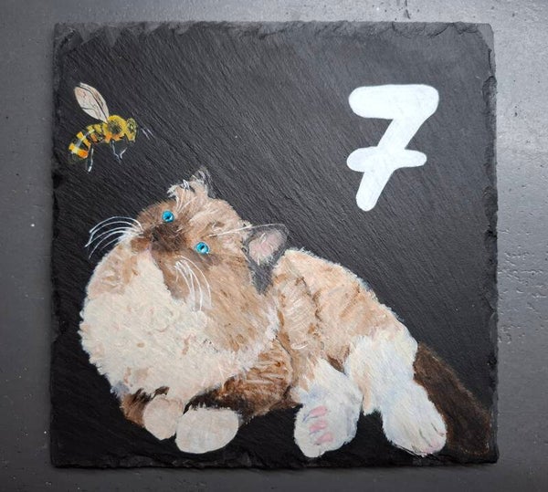 Huisnummer bordje met Ragdol kitten