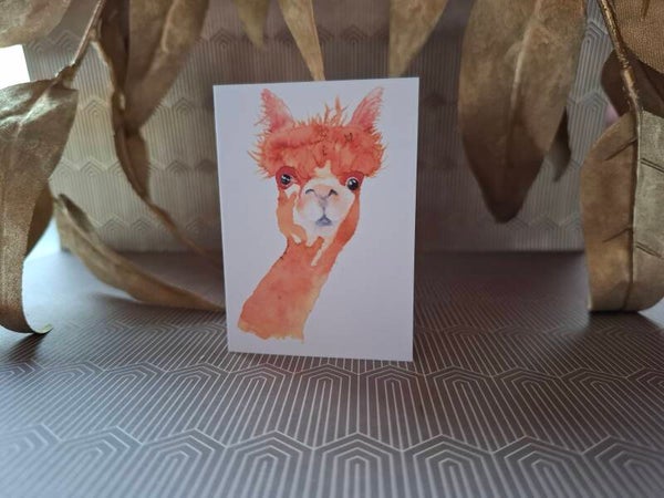 Cadeaukaartje Lama