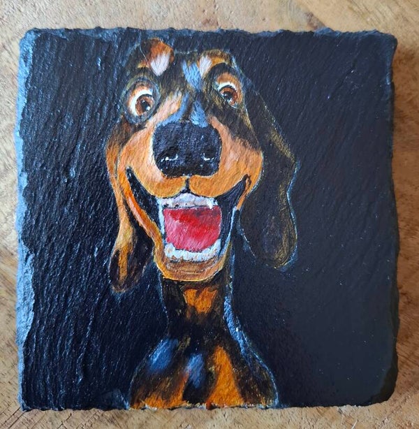 Honden