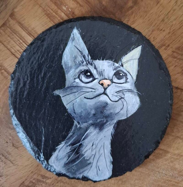 Silly cats