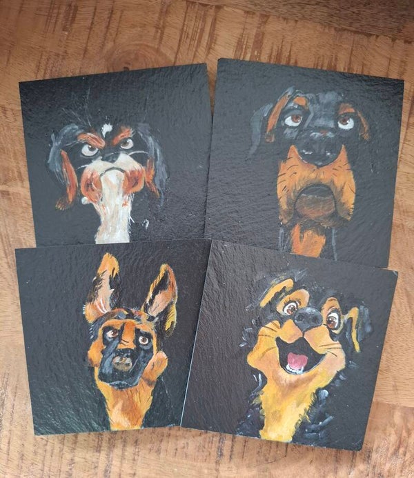Waakse honden