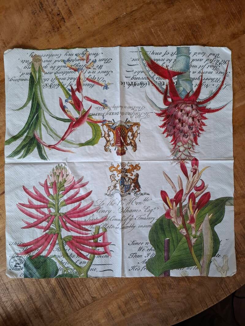 Wit servet met een ananasplant en botanische illustraties – geschikt voor decoupage en tropische tafeldecoratie.
