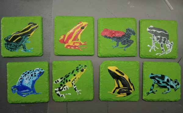 Gifkikkers set van 28