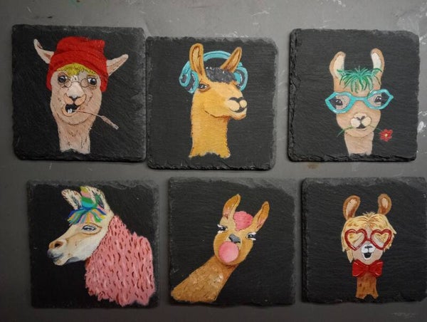 Lama's met gekke bekken