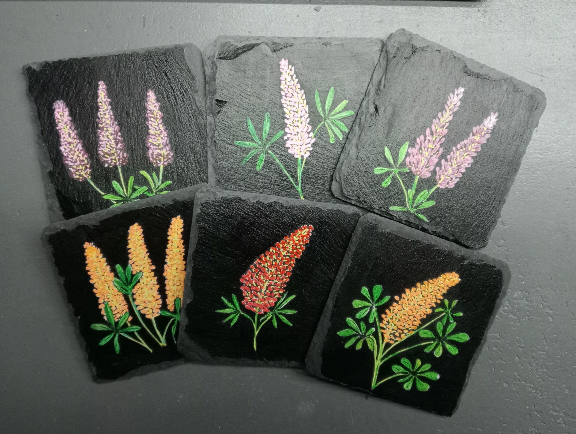 Lupines set van 6
