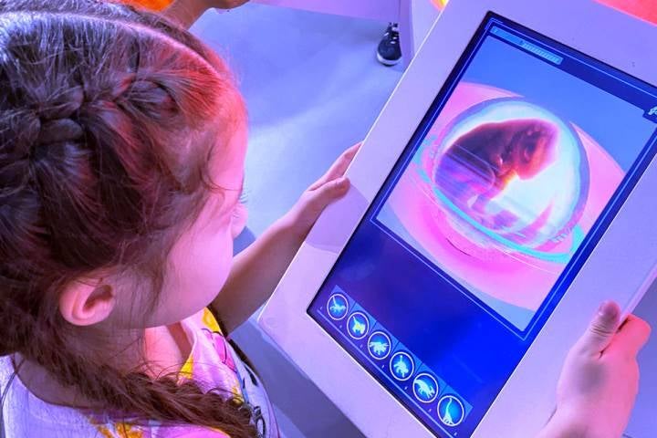 visita-jurassic-world-exhibition