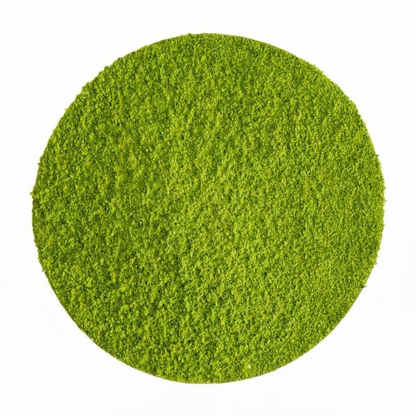 Japan Ceremonial Matcha "Hisui" ORGANIC