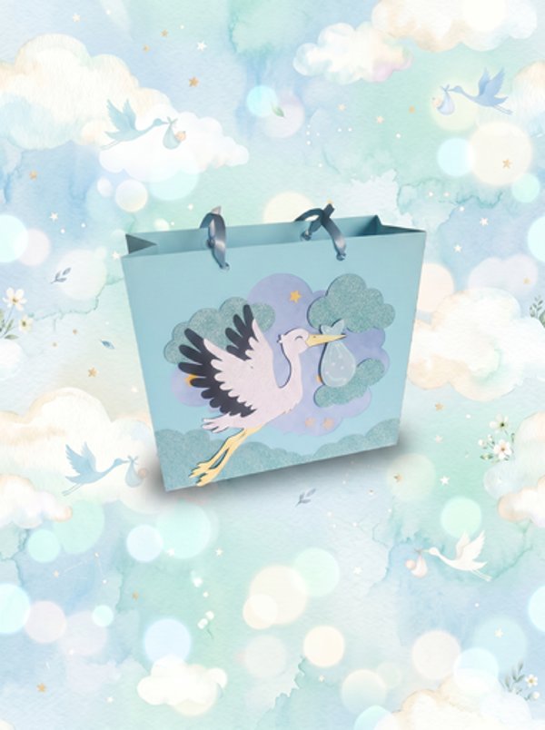 Baby Boy Gift Bag