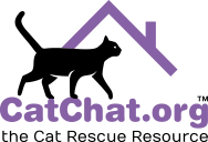 Cat sitter, Warrington, Cheshire Catz