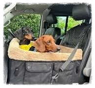 Pet Taxi Service - Warrington, Cheshire Catz