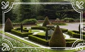 pet sitter cat sitter cat sitting Warrington