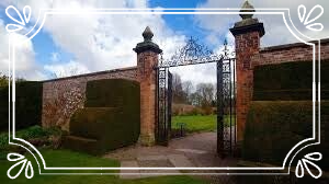 trusted pet sitter, Warrington