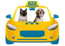 Cheshire Catz pet taxi service Warrington
