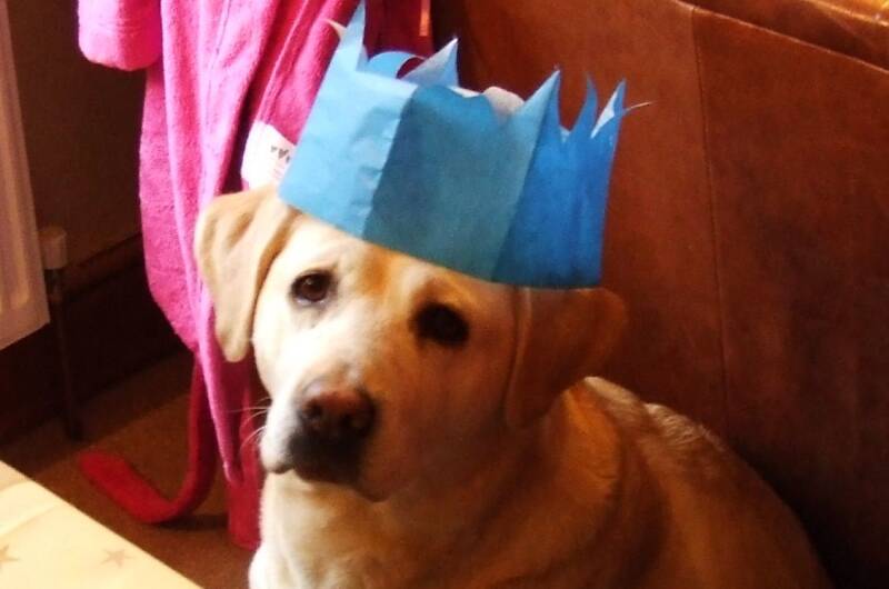 Baileydale Custard Cream