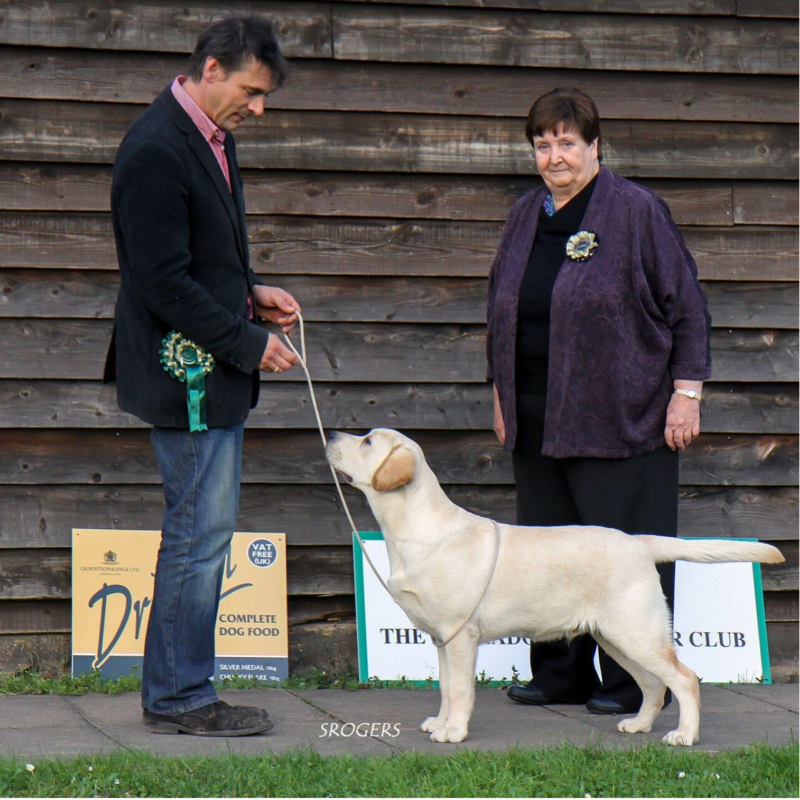 Baileydale Blaze A Trail