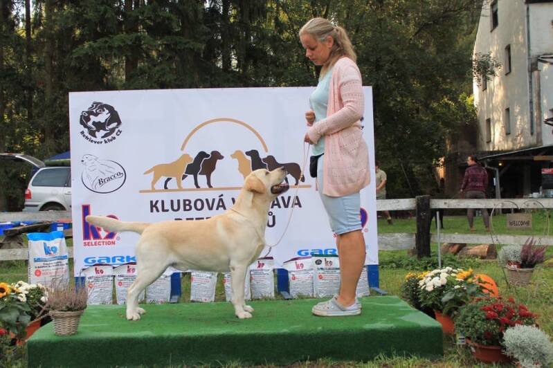 CZ CH Baileydale In A Pickle JW