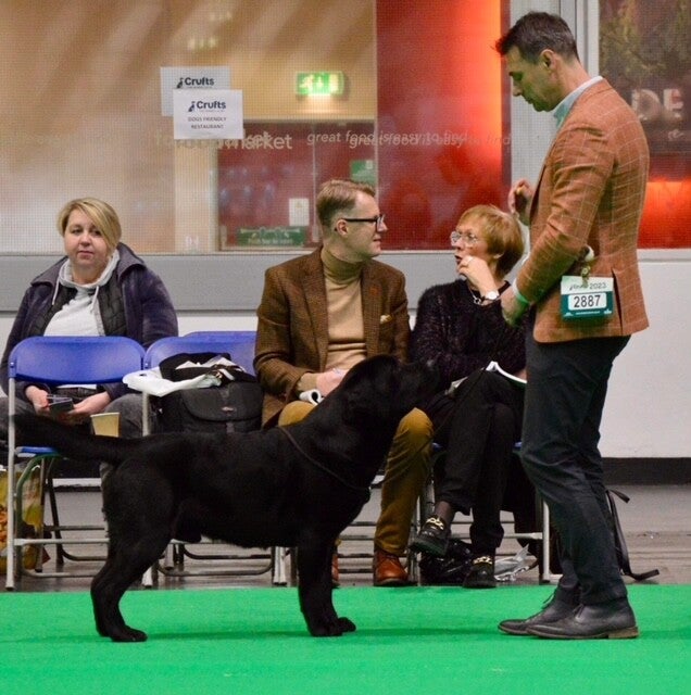 Baileydale Puff Daddy JW