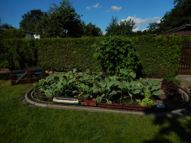 Garenbahn Spur G - 2020 Beet