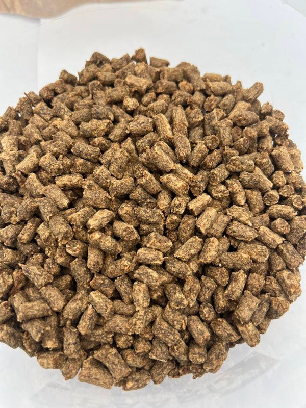 VLEESTRAINER 100% PAARD 100 GRAM