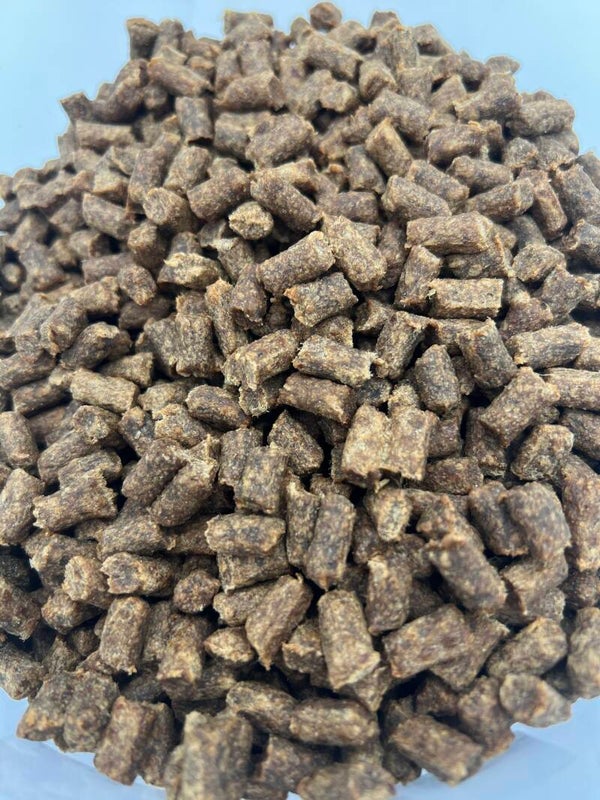 VLEESTRAINER 100% EEND 100 GRAM